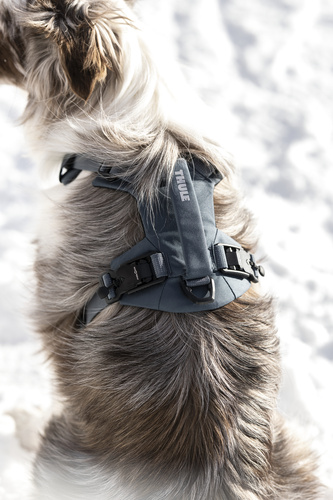 THULE - szelki dla psów Dart L, dark slate